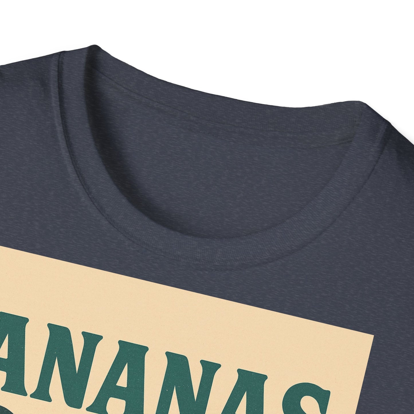 Retro Beach Vibes Unisex Softstyle T-Shirt,
