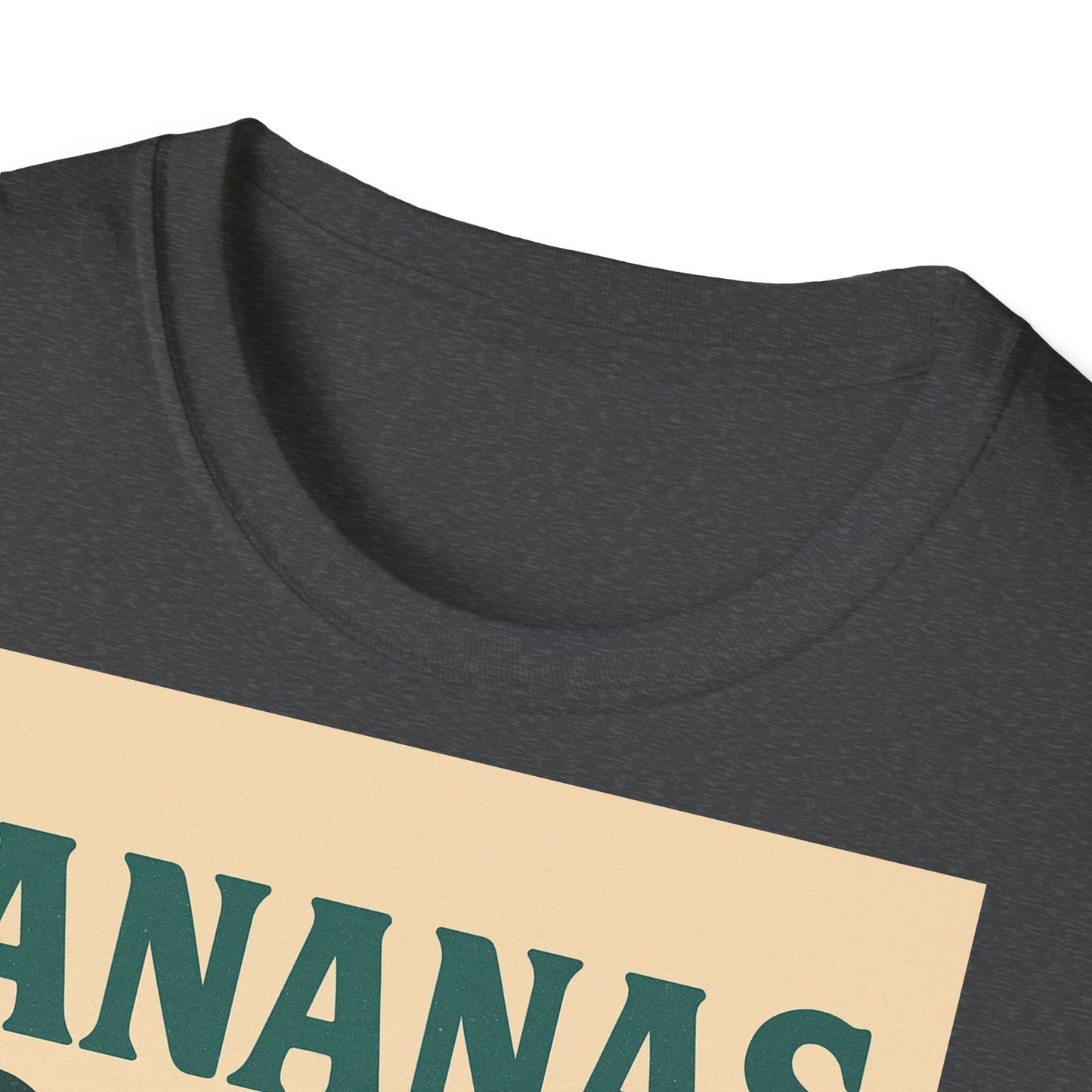 Retro Beach Vibes Unisex Softstyle T-Shirt,