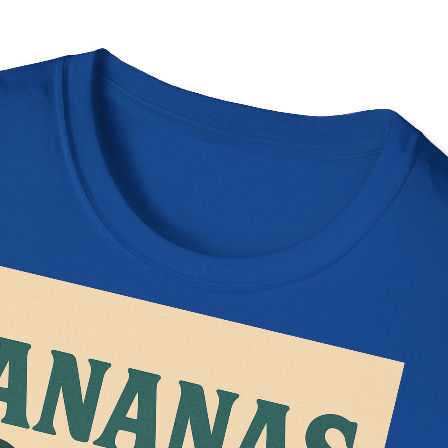 Retro Beach Vibes Unisex Softstyle T-Shirt,